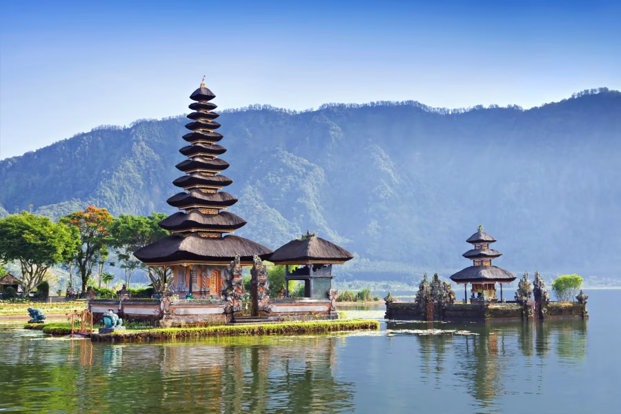 Bedugul Nature & Cultural Escape / Car