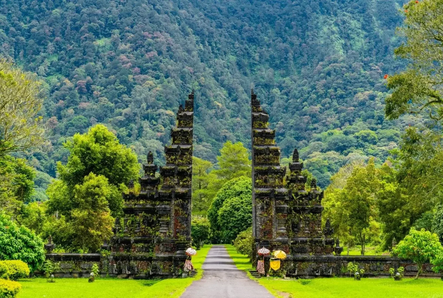 Bedugul Nature & Cultural Escape / Car