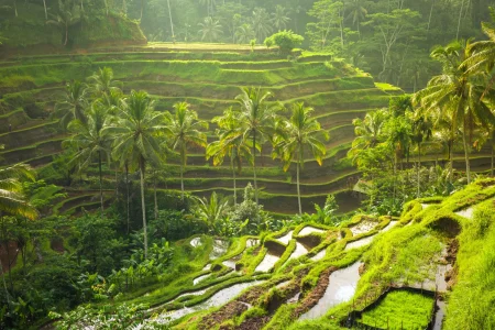 Ubud Villages & Cultural Day Tour / Car