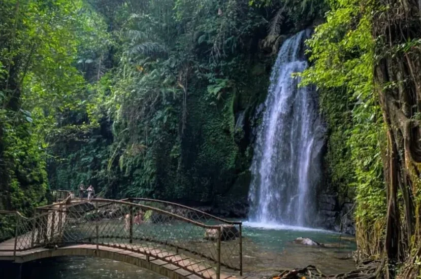 Ubud Villages & Cultural Day Tour / Car